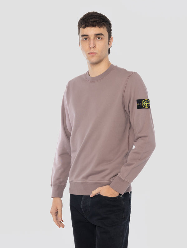 Felpa Girocollo in Cotone Garzato Viola/Grigio